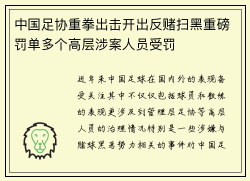 中国足协重拳出击开出反赌扫黑重磅罚单多个高层涉案人员受罚