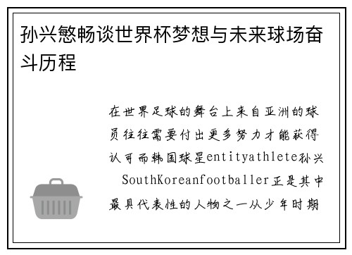 孙兴慜畅谈世界杯梦想与未来球场奋斗历程