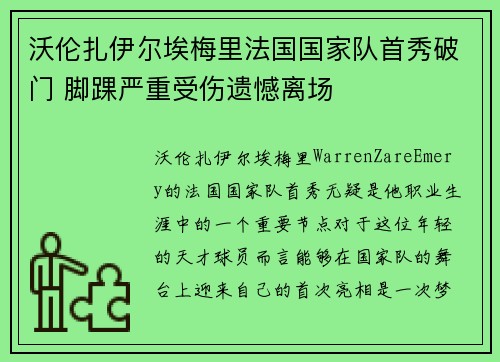 沃伦扎伊尔埃梅里法国国家队首秀破门 脚踝严重受伤遗憾离场