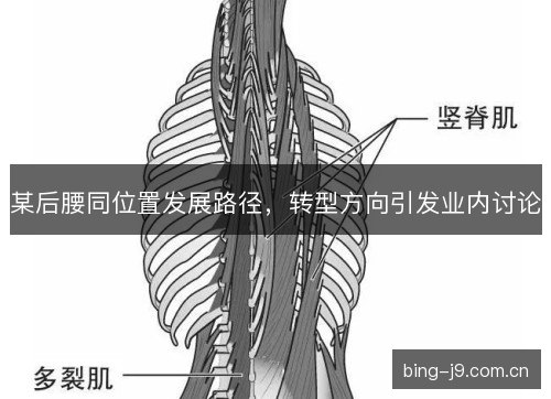 某后腰同位置发展路径，转型方向引发业内讨论